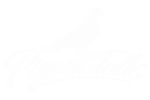 Pigeon Talk™ - Home